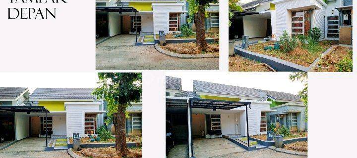 Rumah Minimalis Rumah SHM 1