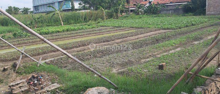 Tanah Cocok Untuk Bangun Mini Cluster atau Komersil di Pinggir Jalan Raya PIsangan Tambun Utara Bekasi

 1