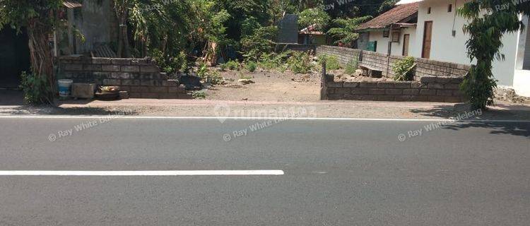 Land for sale main road Lovina 1