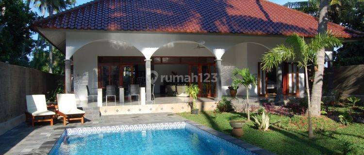 GREAT LUXURY VILLA IN CENTRAL LOVINA 1