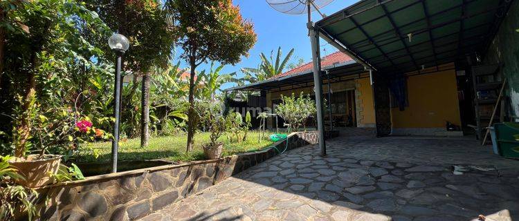 House for sale near central Lovina 1