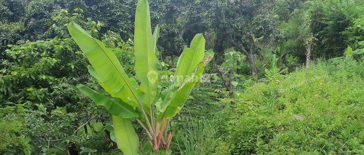 Land for sale with valley view 1