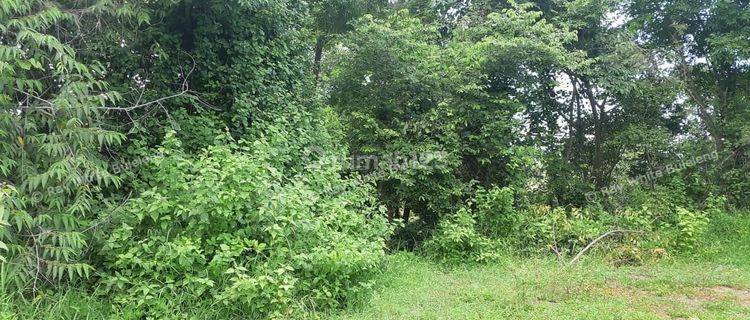 Land for sale 1