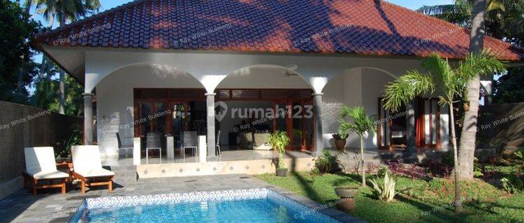 GREAT LUXURY VILLA IN CENTRAL LOVINA 1