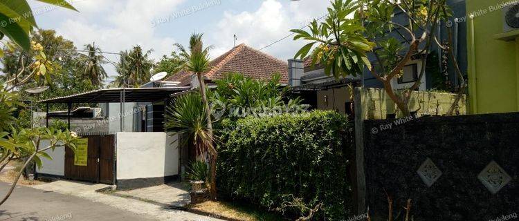 House for sale near central Lovina 1
