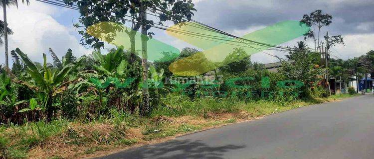 DIJUAL CEPAT TANAH MENARIK DAN STRATEGIS DAERAH MAPANGET, HARGA SANGAT MURAH 1