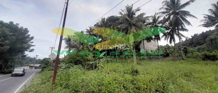 DIJUAL CEPAT TANAH STRATEGIS VIEW LAUT DAERAH TANAHWANGKO, HARGA SANGAT MURAH 1