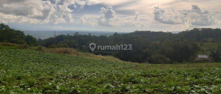 DIJUAL CEPAT TANAH PERKEBUNAN VIEW CANTIK KOTA TOMOHON, HARGA DI BAWAH PASARAN 1