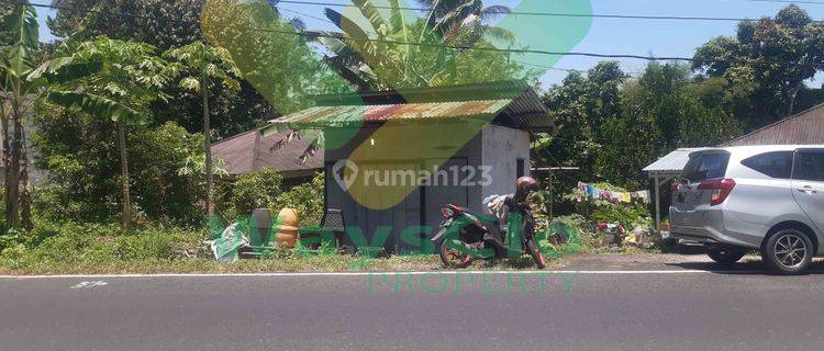 DIJUAL CEPAT TANAH STRATEGIS DEPAN JALAN UTAMA MAPANGET, BANTING HARGA SANGAT MURAH 1