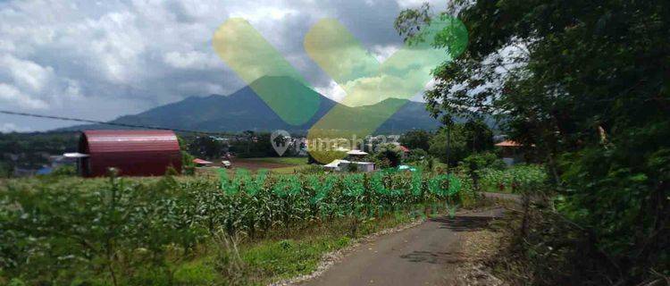 DIJUAL CEPAT TANAH CANTIK DAERAH PARIWISATA TOMOHON, HARGA SANGAT MURAH 1