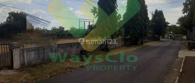 DISEWAKAN TANAH LUAS YANG STRATEGIS DAERAH MALALAYANG, HARGA SANGAT MURAH 1