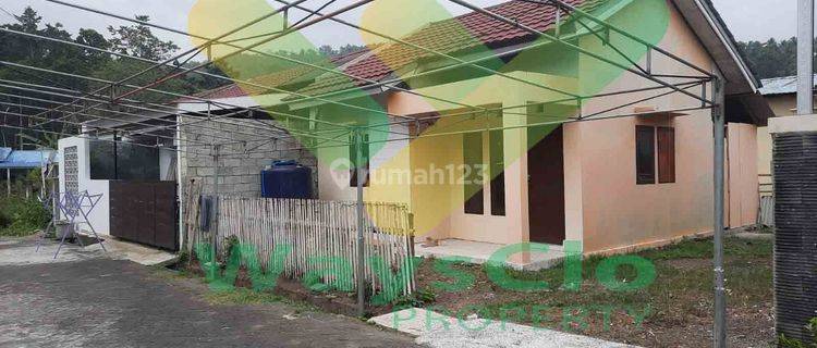 DIJUAL CEPAT RUMAH CANTIK DAN MENARIK DAERAH SEA, HARGA PALING MURAH 1