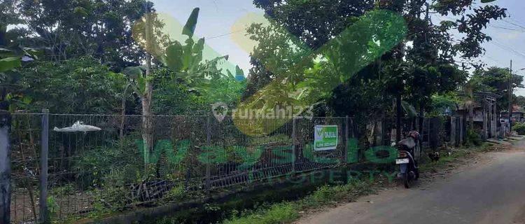 Dijual Cepat Tanah Cantik Dan Menarik Daerah Perkamil, Harga Sangat Murah 1