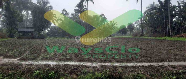 DIJUAL CEPAT TANAH CANTIK DAN MENARIK DAERAH TOMOHON, HARGA SANGAT MURAH 1