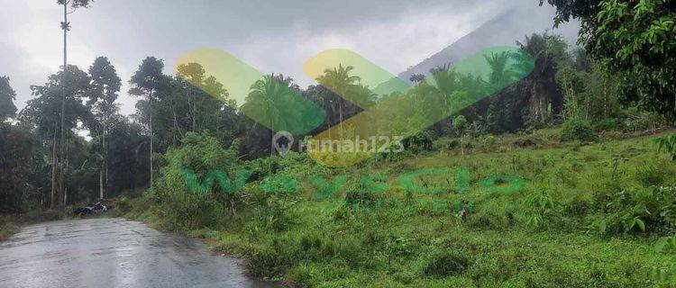 DIJUAL CEPAT TANAH CANTIK DAN MENARIK DAERAH TOMOHON, HARGA SANGAT MURAH 1