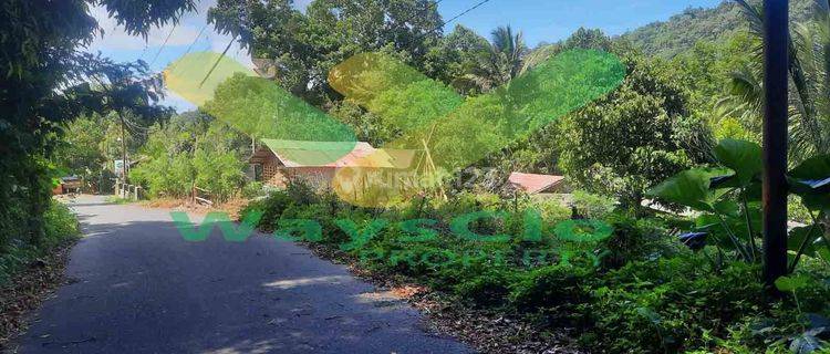 DIJUAL CEPAT TANAH CANTIK DAN MENARIK DAERAH TOMOHON, HARGA SANGAT MURAH 1