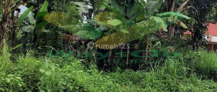 DIJUAL CEPAT TANAH MENARIK DAN STRATEGIS DAERAH MAPANGET, HARGA SANGAT MURAH 1