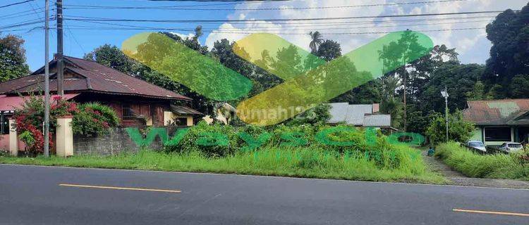 DIJUAL CEPAT TANAH SANGAT STRATEGIS DAERAH KALAWAT, HARGA SANGAT MURAH 1