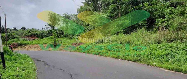 Dijual Cepat Tanah Cantik Dan Menarik Daerah Tomohon, Harga Sangat Murah 1