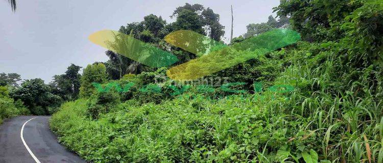 DIJUAL CEPAT TANAH CANTIK DAN MENARIK DAERAH LEMBEAN, HARGA SANGAT MURAH 1