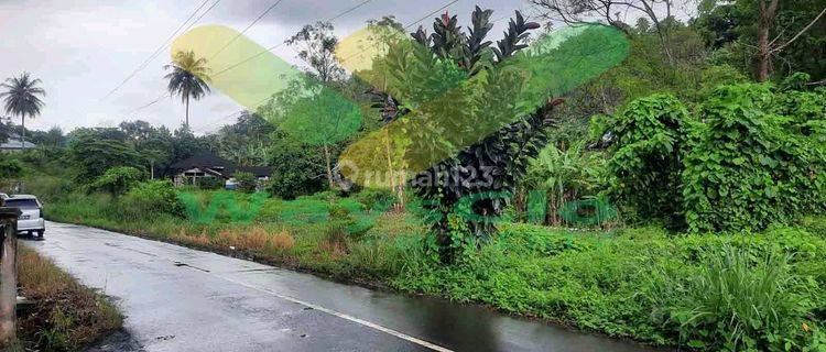 Dijual Cepat Tanah Cantik Dan Menarik Daerah Kalasey, Harga Sangat Murah 1