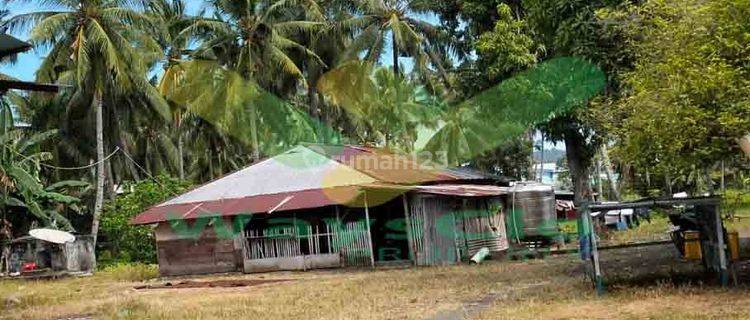 Dijual Cepat Tanah Menarik Plus Gudang, Harga Sangat Murah 1