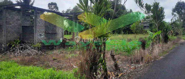 DIJUAL CEPAT TANAH CANTIK DAN MENARIK DAERAH TOMOHON, HARGA SANGAT MURAH 1