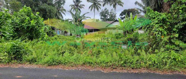 DIJUAL CEPAT TANAH CANTIK DAN MENARIK DAERAH TOMOHON, HARGA SANGAT MURAH 1