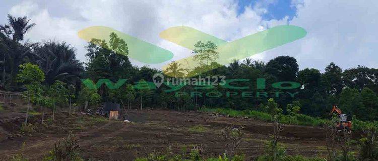 DIJUAL CEPAT TANAH CANTIK DAN MENARIK DAERAH TOMOHON, HARGA SANGAT MURAH 1