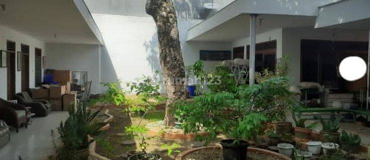 Rumah Bonus Halaman Luas di Tengah Kota Cirebon Siap Huni 1
