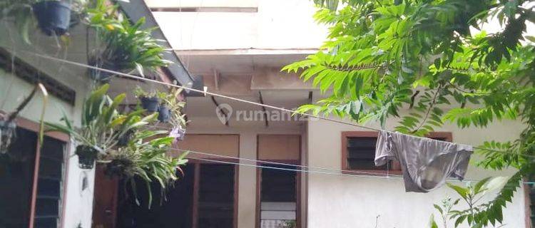 Rumah Plus Sarang Burung Wallet di Jatiwangi Majalengka 1