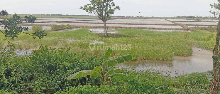 Dijual Tanah di Area Kecamatan Gebang Cirebon 1