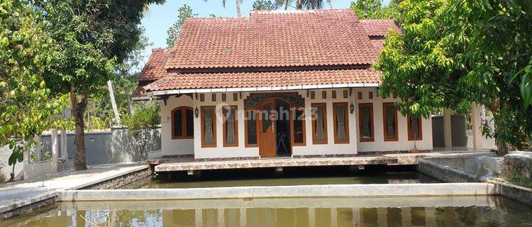 Dijual Rumah Dengan Halaman Luas Dan Ada Kolam Ikan Siap Huni 1