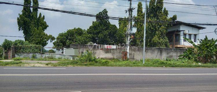 Ca1187 Dijual Lahan Bekas Pabrik Luas Murah di Dlanggu Mojokerto 1