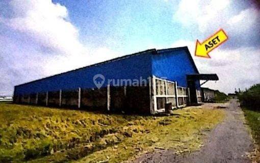Gudang Murah Harga Terjangkau Dijamin Gak Rugi Dijual Kembali 1