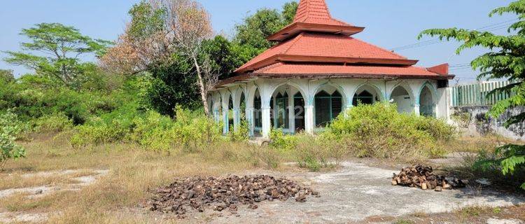 Tanah Kavling 3,5 Hektar Peterongan Jombang Akses Mudah Strategis 1