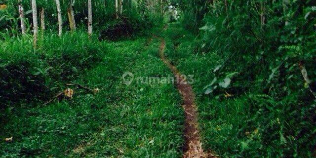 Dijual Tanah Dengan View Samping Ngarai di Ubud Gianyar Bali 1