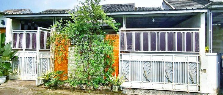 RUMAH CANTIK YANG NYAMAN DIHUNI DI KAWASAN KOTA JEMBER 1