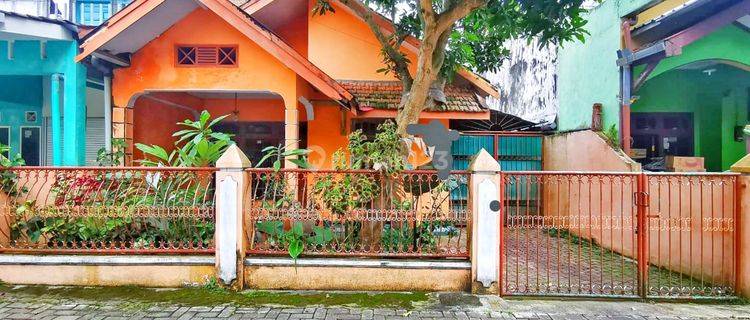 RUMAH LUAS DI JANTUNG KOTA JEMBER NYAMAN HUNI 1