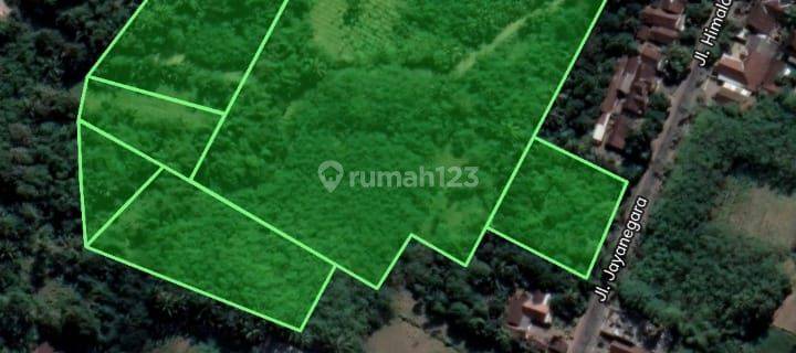 Tanah Murah untuk Gudang dan Pabrik dekat Jalur Provinsi Jember 1