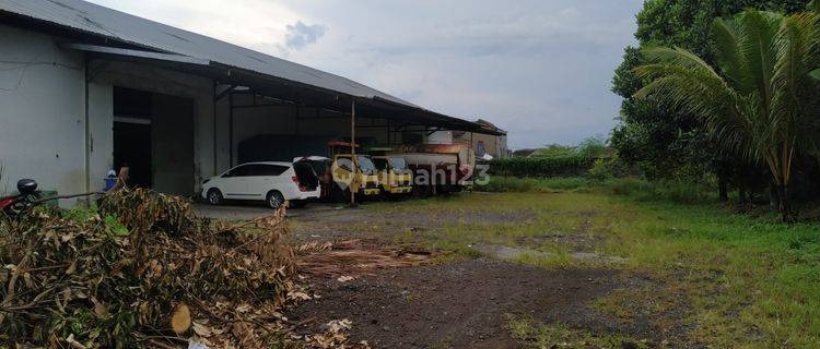 Gudang Sewa Lahan Luas di Tegal Besar Jember 1