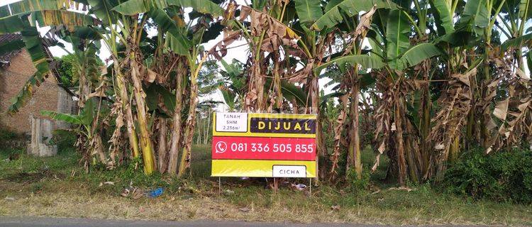 Tanah Murah Dekat Kota Jarang Ada Cocok Buat Usaha 1