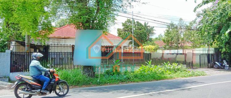 Rumah Luas Di Pinggir Jalan Daerah Patrang 1