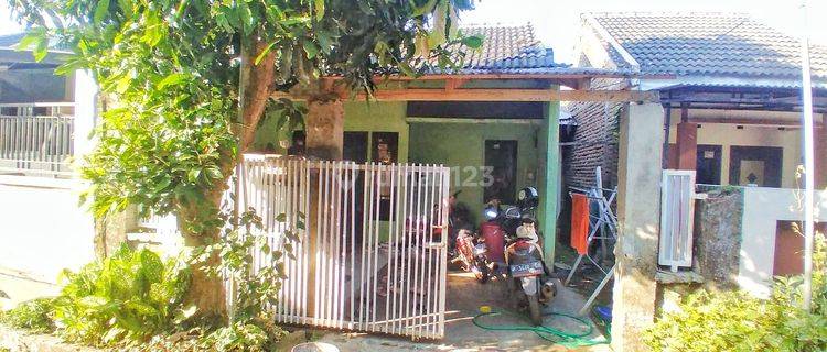 Dijual Rumah Minimalis Di Kawasan Sempusari 1