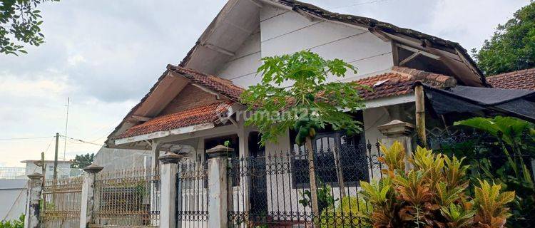 Dijual rumah klasik masuk gang di patrang (sw)  1