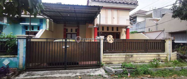 Rumah Sewa Murah Strategis Area Kampus Sumbersari (hal)  1