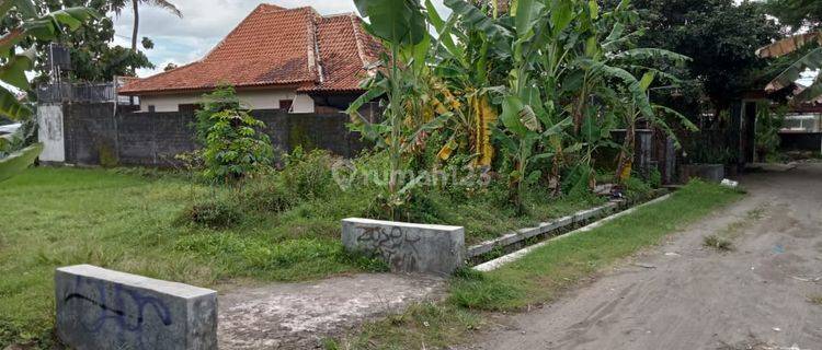 Tanah Utara Stadion Maguwo Luas 232 Bagus Investasi Bebas Banjir 1