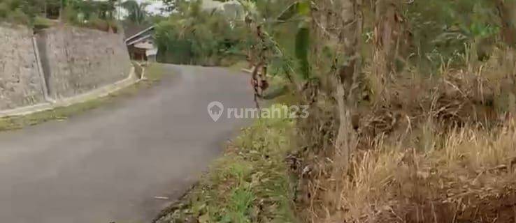 Tanah Luas Strategis Patuk Gunung Kidul SHM Murah 280 Ribuan Aja 1