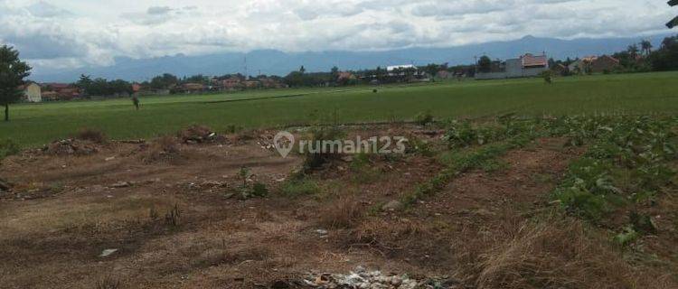 Tanah Mainroad Wiradesa Pekalongan cocok untuk Usaha Tenun 1