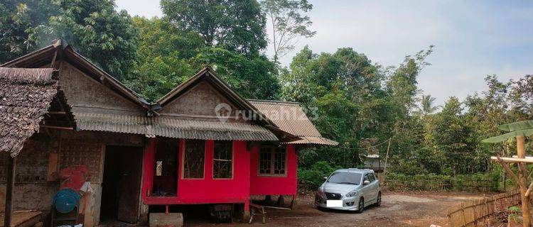 Tanah Harga Miring Jl Raya Pagelaran Labuan Pandeglang 1